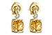 B216-41499: EARR 1.66 CITRINE 1.70 TGW