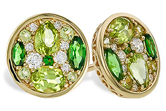 B301-86027: EARR 1.03 TW SEMI-PRECIOUS (TSAV, PER) 1.19 TGW