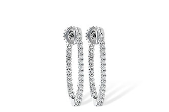 C217-31508: EARR .25 TW