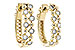 C217-34227: EARR .15 TW