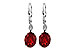 D217-36017: EARR 3.45 TW GARNET 3.50 TGW (9x7MM GAR)