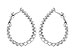 D300-00581: EARR 1.00 TW