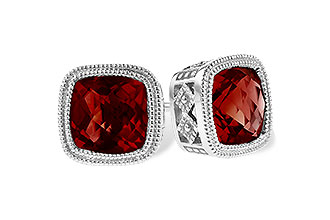 D300-00636: EARR 2.50 TW GARNET