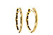E301-89654: GOLD EARRINGS (16MM)