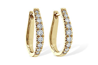 F217-30617: EARR .50 TW