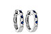 G028-21463: EARRINGS .16 SAPP .26 TGW