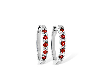 G217-31535: EARR .24 RUBY .30 TGW