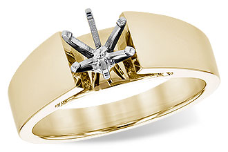 K300-06999: LDS SEMI RG